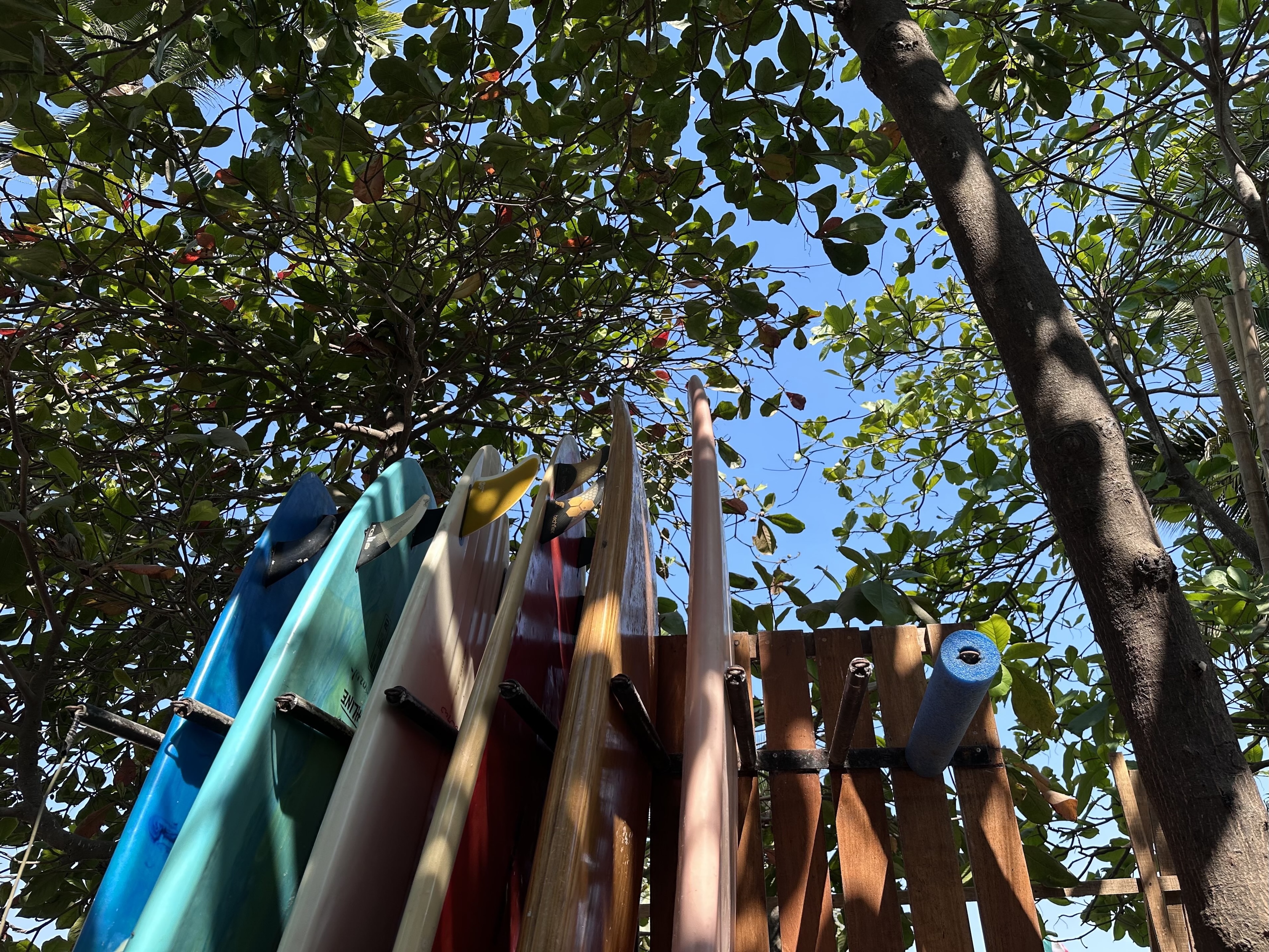 Surf Rentals